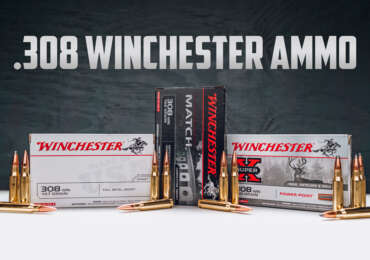 308 winchester ammo