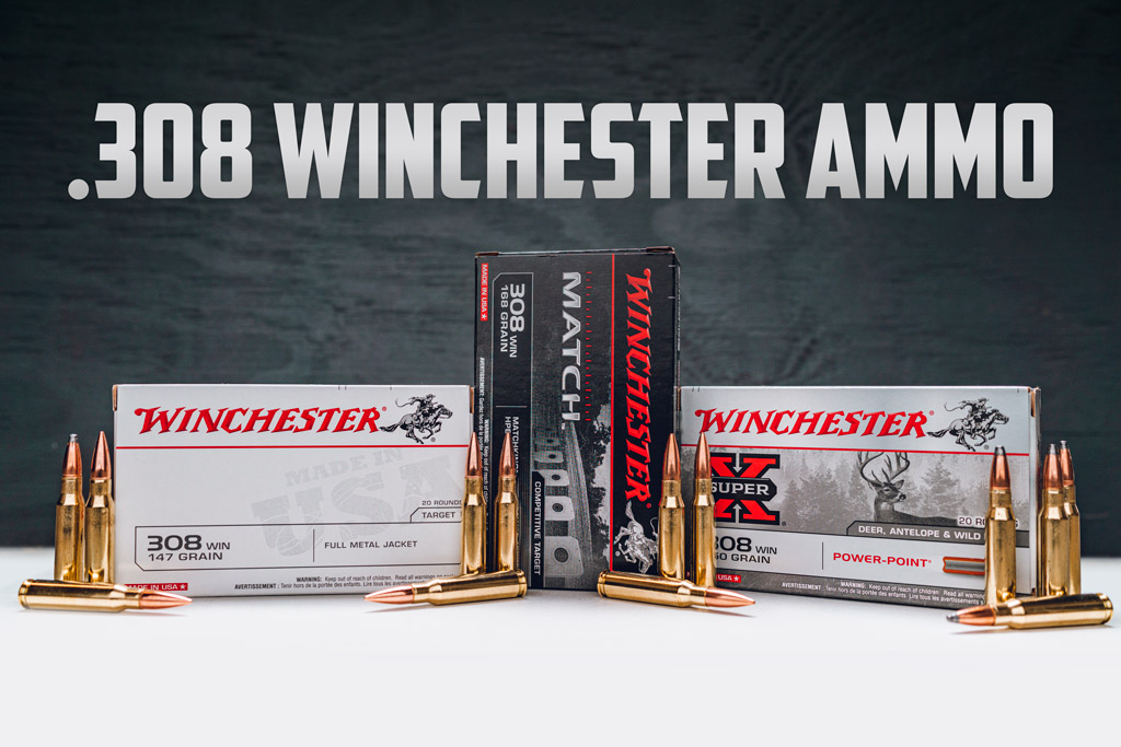 308 winchester ammo